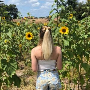 American Eagle Outfitters Sunflower Jean Shorts